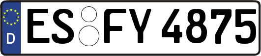 ES-FY4875