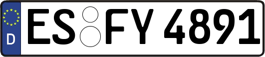 ES-FY4891
