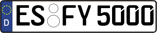 ES-FY5000