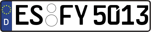 ES-FY5013