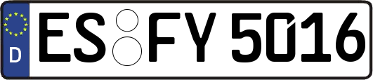 ES-FY5016