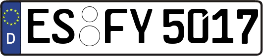 ES-FY5017