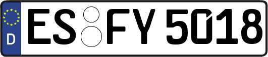 ES-FY5018