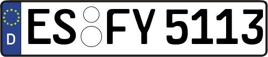 ES-FY5113