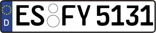 ES-FY5131