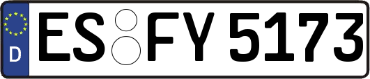 ES-FY5173