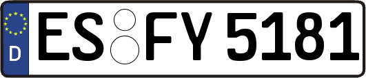 ES-FY5181