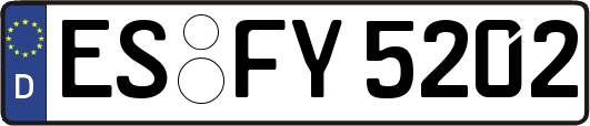 ES-FY5202