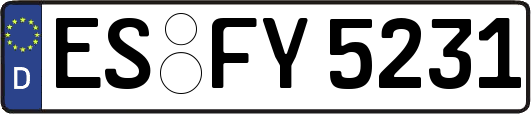 ES-FY5231
