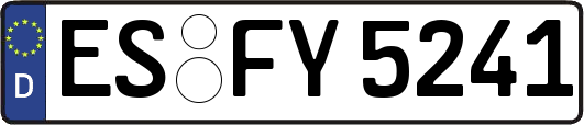 ES-FY5241