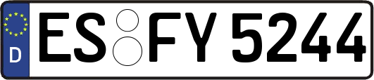 ES-FY5244