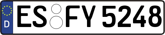 ES-FY5248