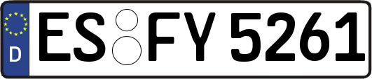 ES-FY5261