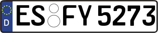 ES-FY5273