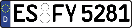 ES-FY5281