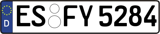 ES-FY5284