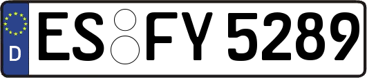 ES-FY5289