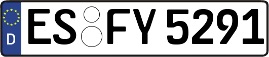 ES-FY5291