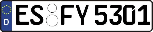 ES-FY5301