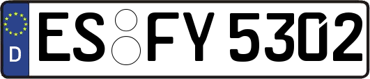 ES-FY5302
