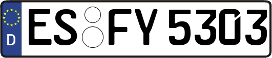 ES-FY5303