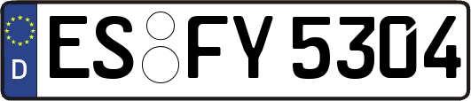 ES-FY5304