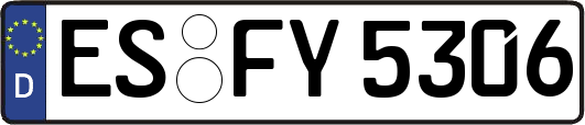 ES-FY5306