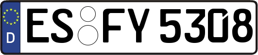 ES-FY5308