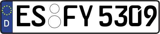 ES-FY5309