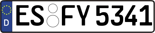 ES-FY5341