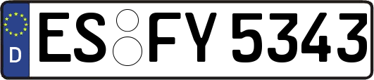 ES-FY5343