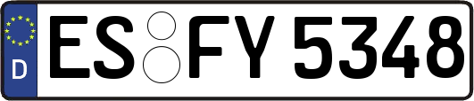ES-FY5348