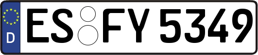 ES-FY5349
