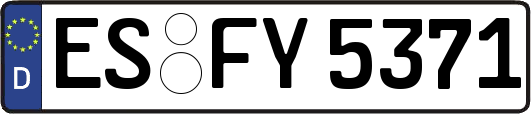 ES-FY5371