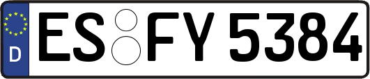 ES-FY5384