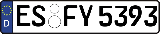 ES-FY5393