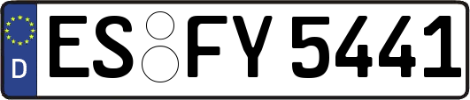 ES-FY5441