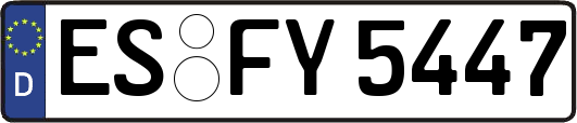 ES-FY5447