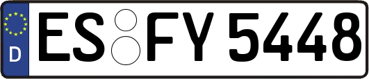 ES-FY5448