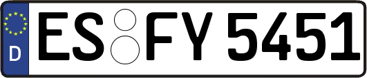ES-FY5451
