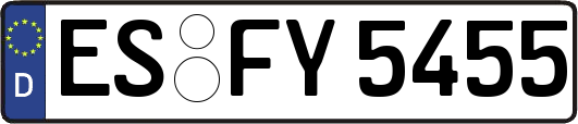ES-FY5455