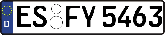 ES-FY5463