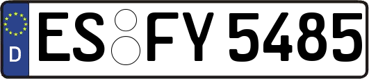 ES-FY5485