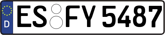 ES-FY5487