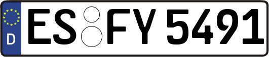 ES-FY5491