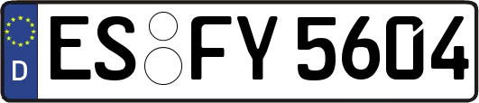 ES-FY5604