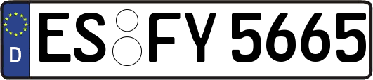ES-FY5665