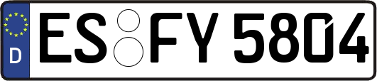 ES-FY5804