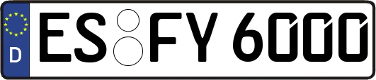 ES-FY6000