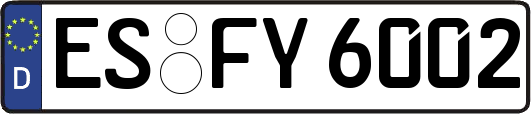 ES-FY6002